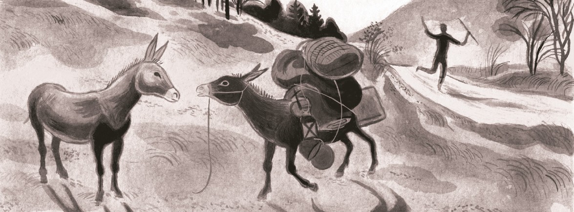Futuropolis / Voyage avec un âne, 2024